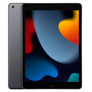 2021 Apple iPad 10.2″ (A13, 256GB, Wi-Fi, серый космос) 10014