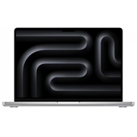 2024 Apple MacBook Pro 14.2″ серебристый (16Gb, SSD 512Gb, M4 (10 GPU)) 10032